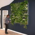 5 - 1.6m square of air filtering plants