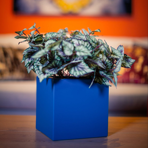 A dark blue cabinet top cube planter