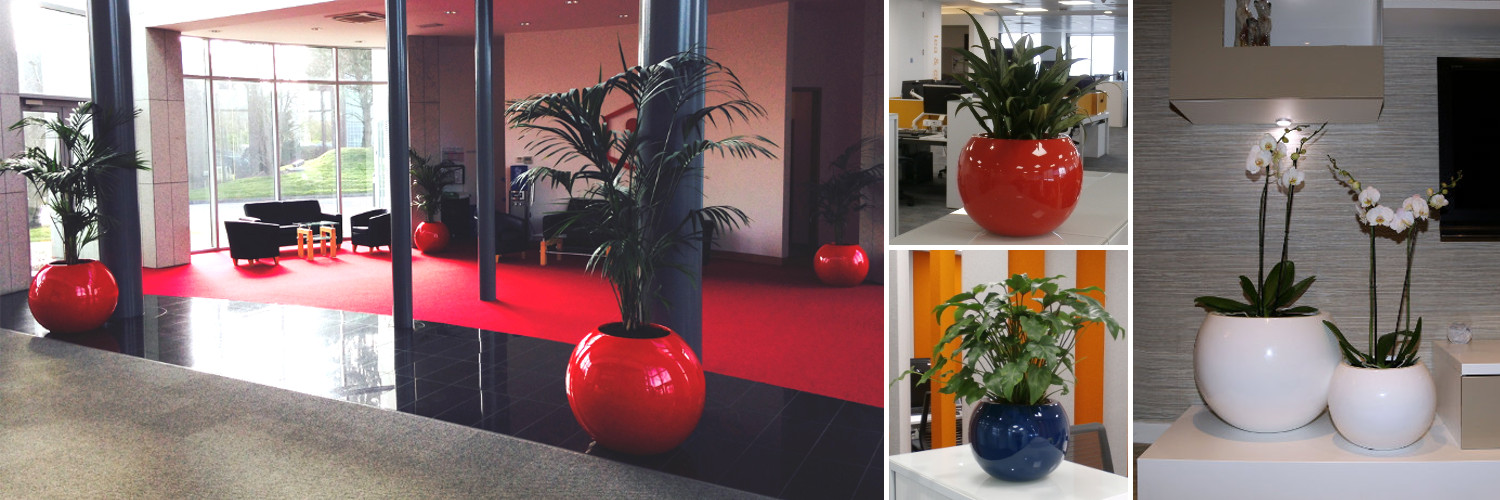 Sphere planters - from left to right, SPH-5748, SP30, SP50 and SP30.