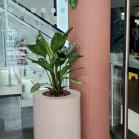 10 Stylish tall pots