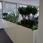 11 Barrier planting