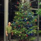 35 Christmas tree