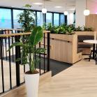 16 Restaurant planting