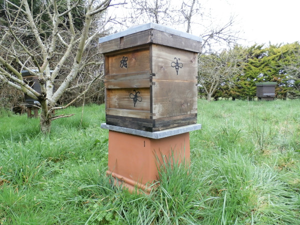 Old rotational moulded planter repurposed as a beehive stand.