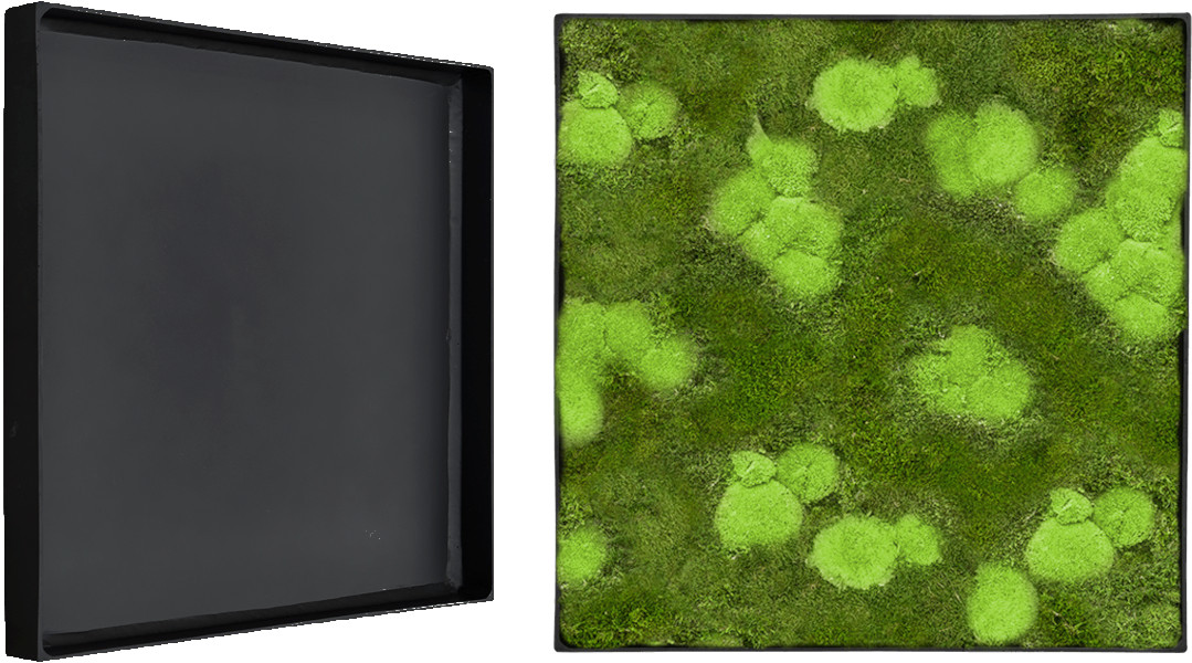 On the left an empty frame ready for moss and on the right the finished unique moss picture