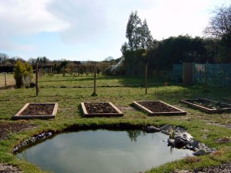 Photo of the pond ready for planting (March 2009)...