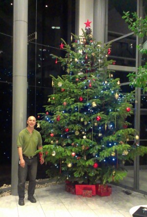 A photo of a Christmas tree.