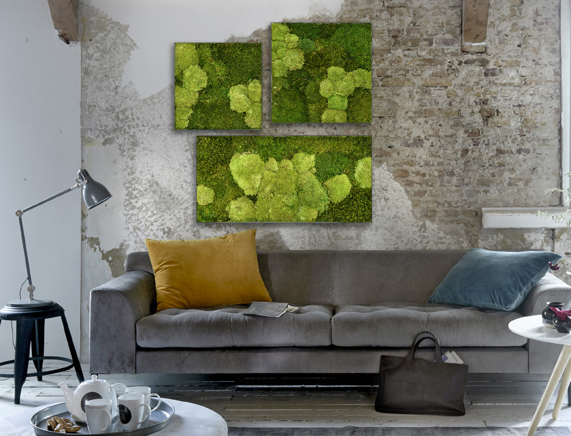 A Picture of moss art on a living room wall